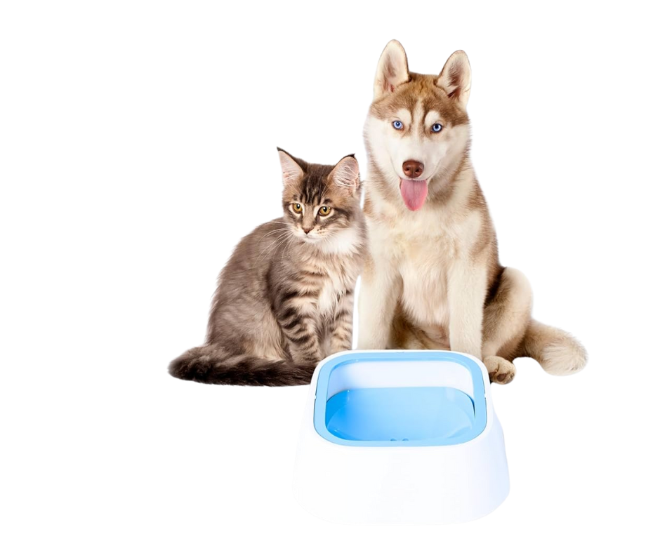 Bebedero Para Perros Y Gatos, Sin Derram